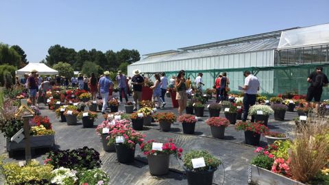 Les portes ouvertes des stations Astredhor, qui se tiennent traditionnellement entre juin et octobre selon les régions, devront être réorganisées ou reportées. ©L. Hespel